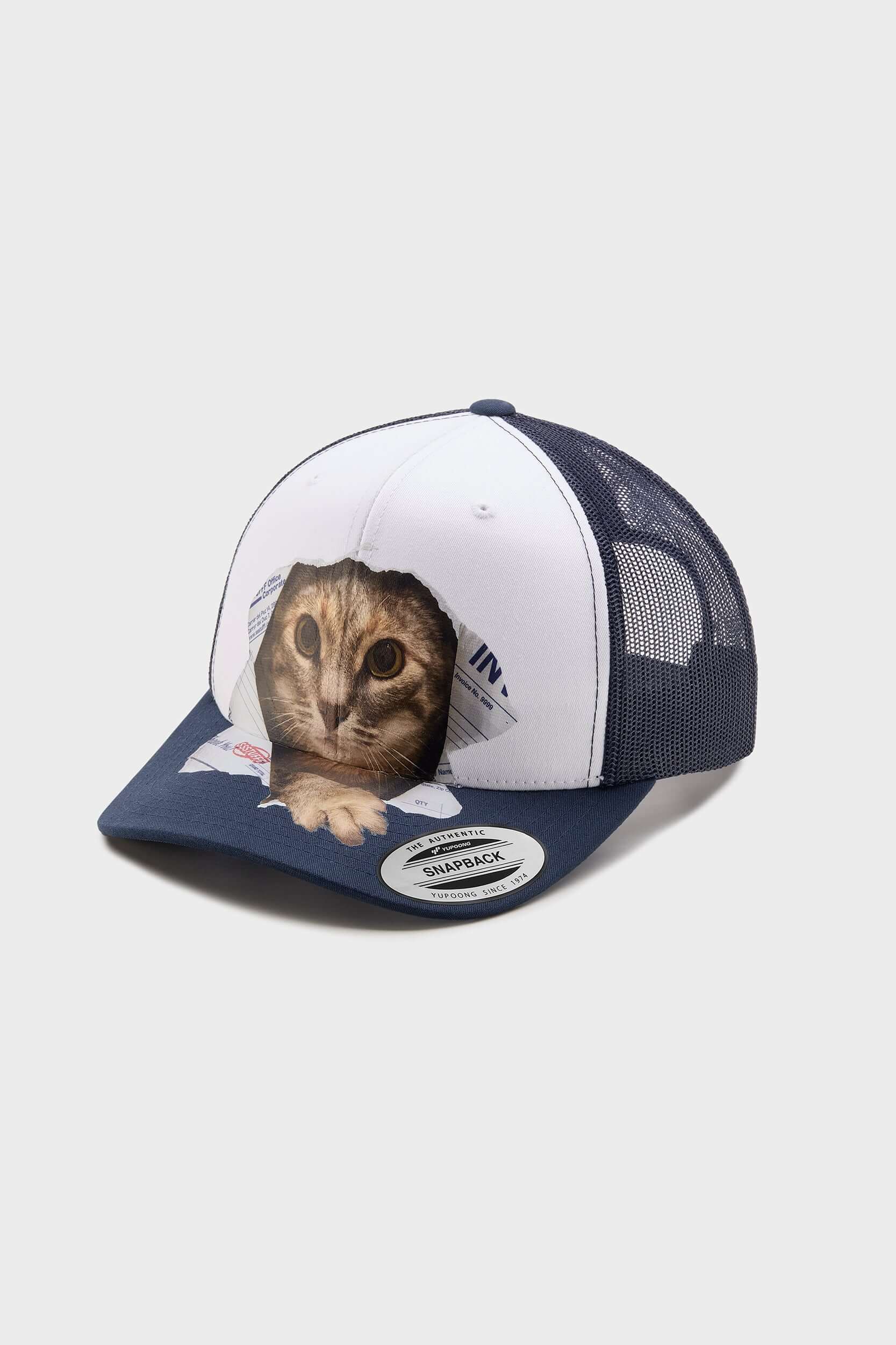 Flexfit Cap Broken Paper Cat