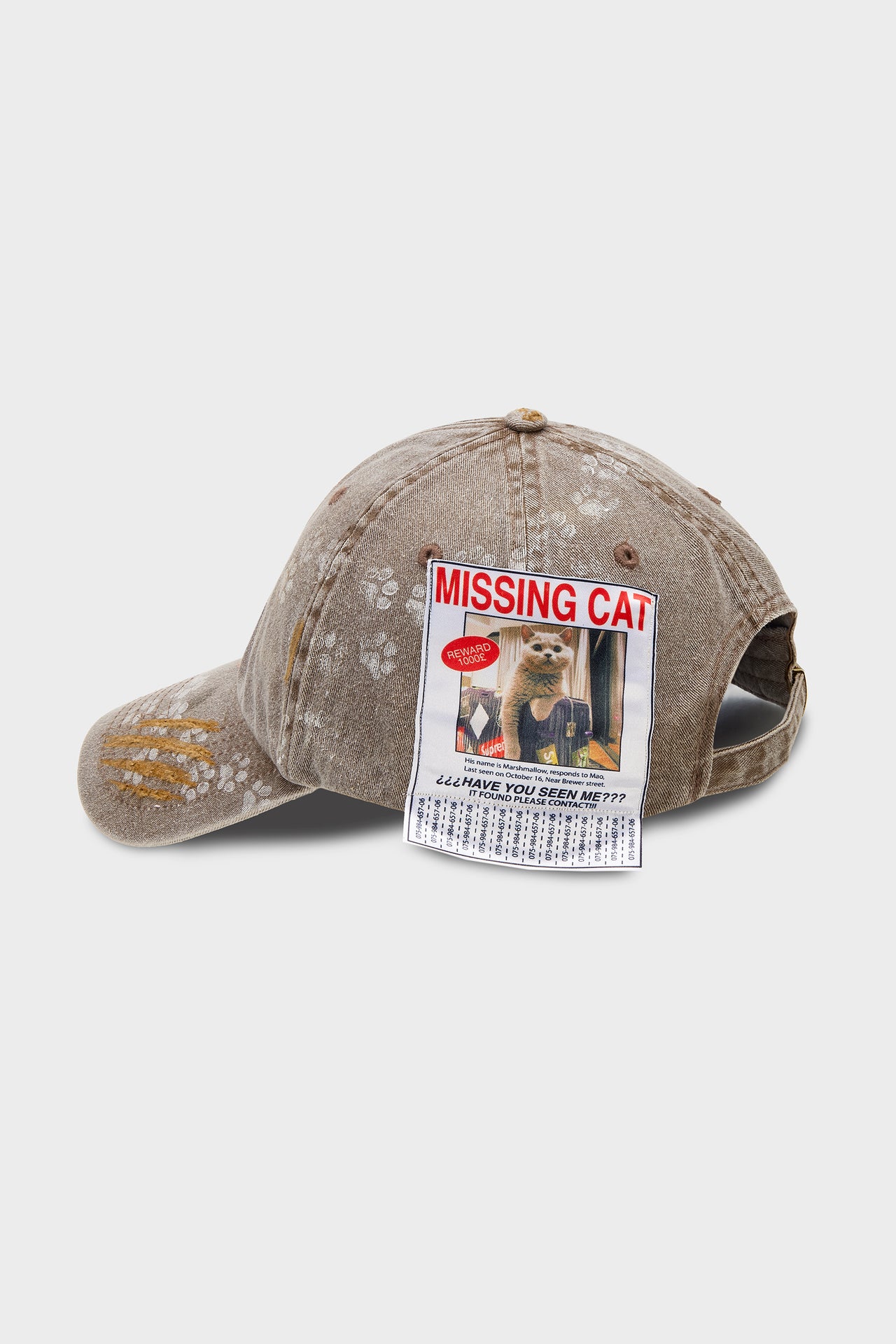 Missing Cat Cap