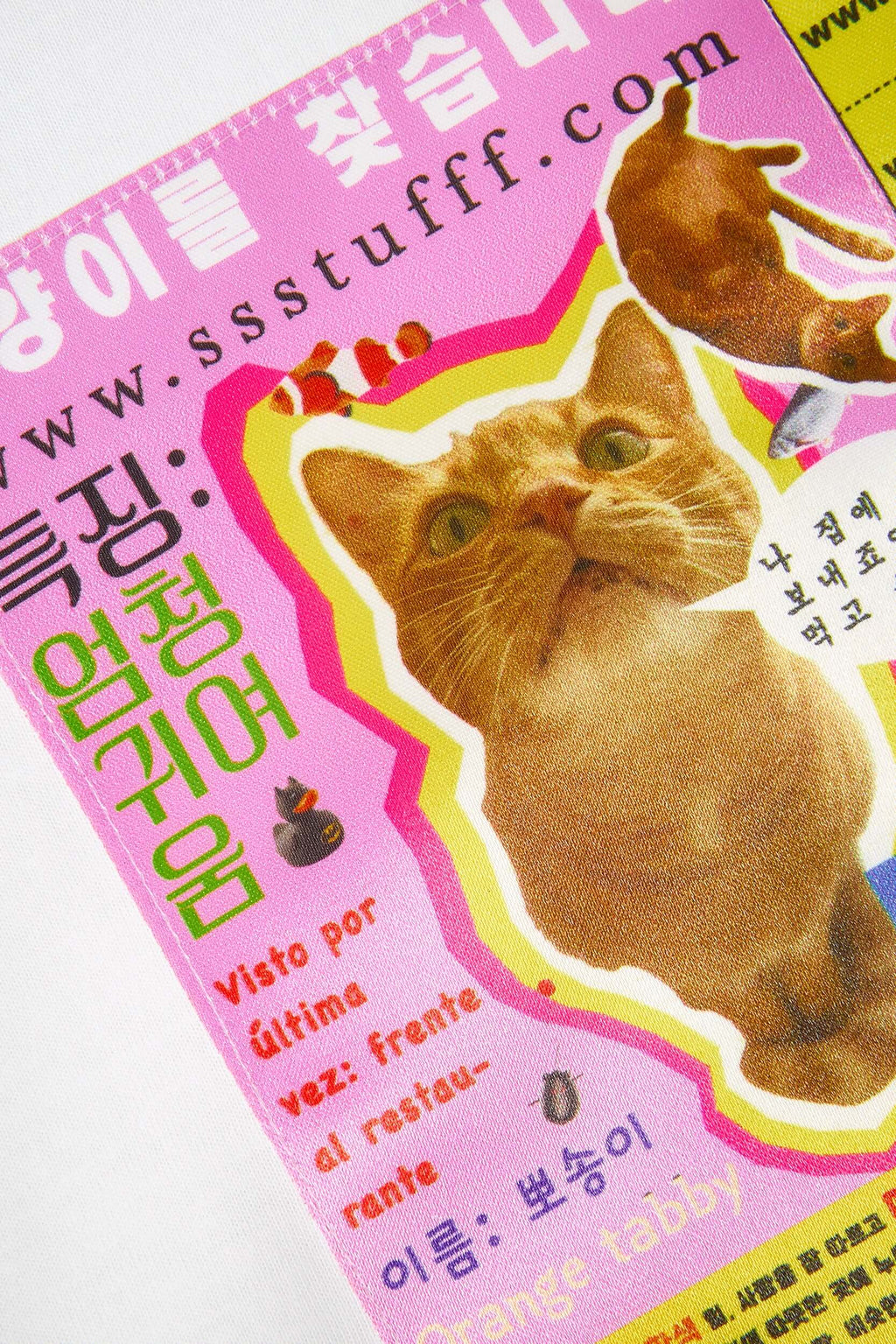 Missing Cat Tee