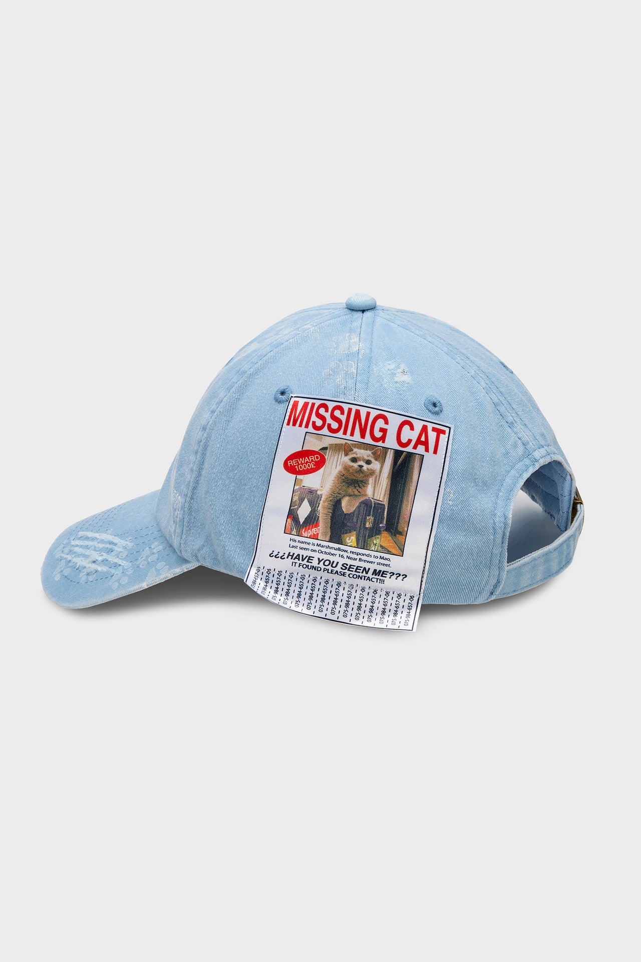 Missing Cat Cap
