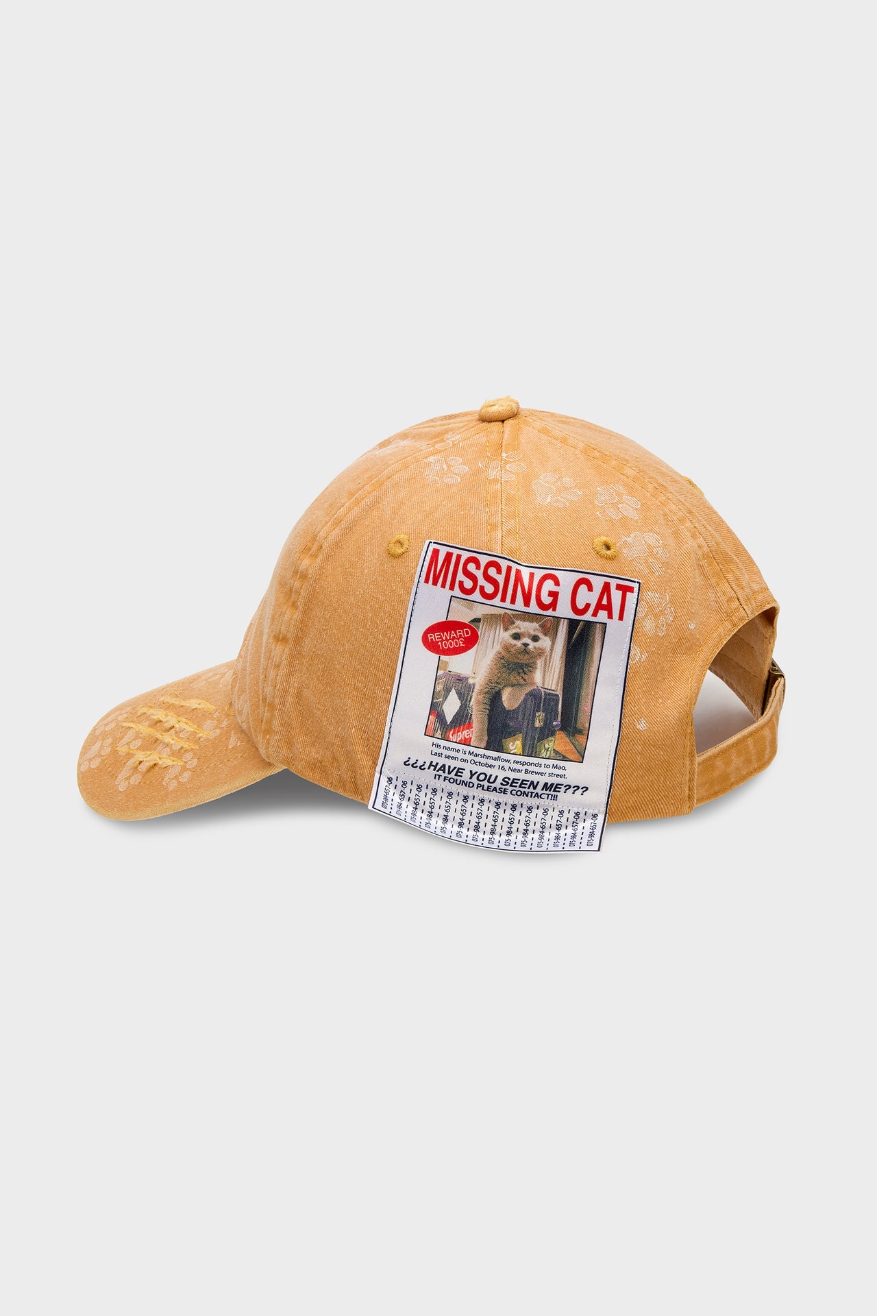 Missing Cat Cap