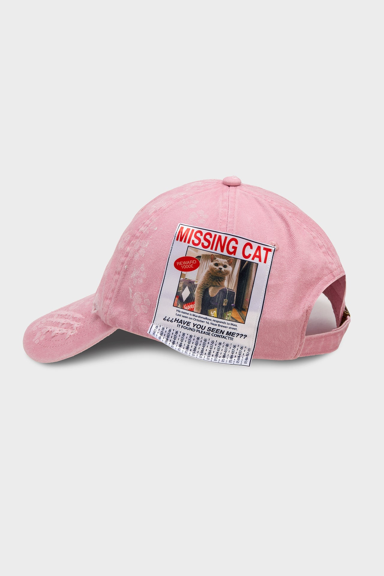Missing Cat Cap