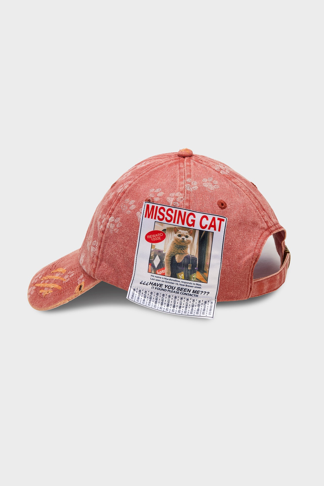 Missing Cat Cap