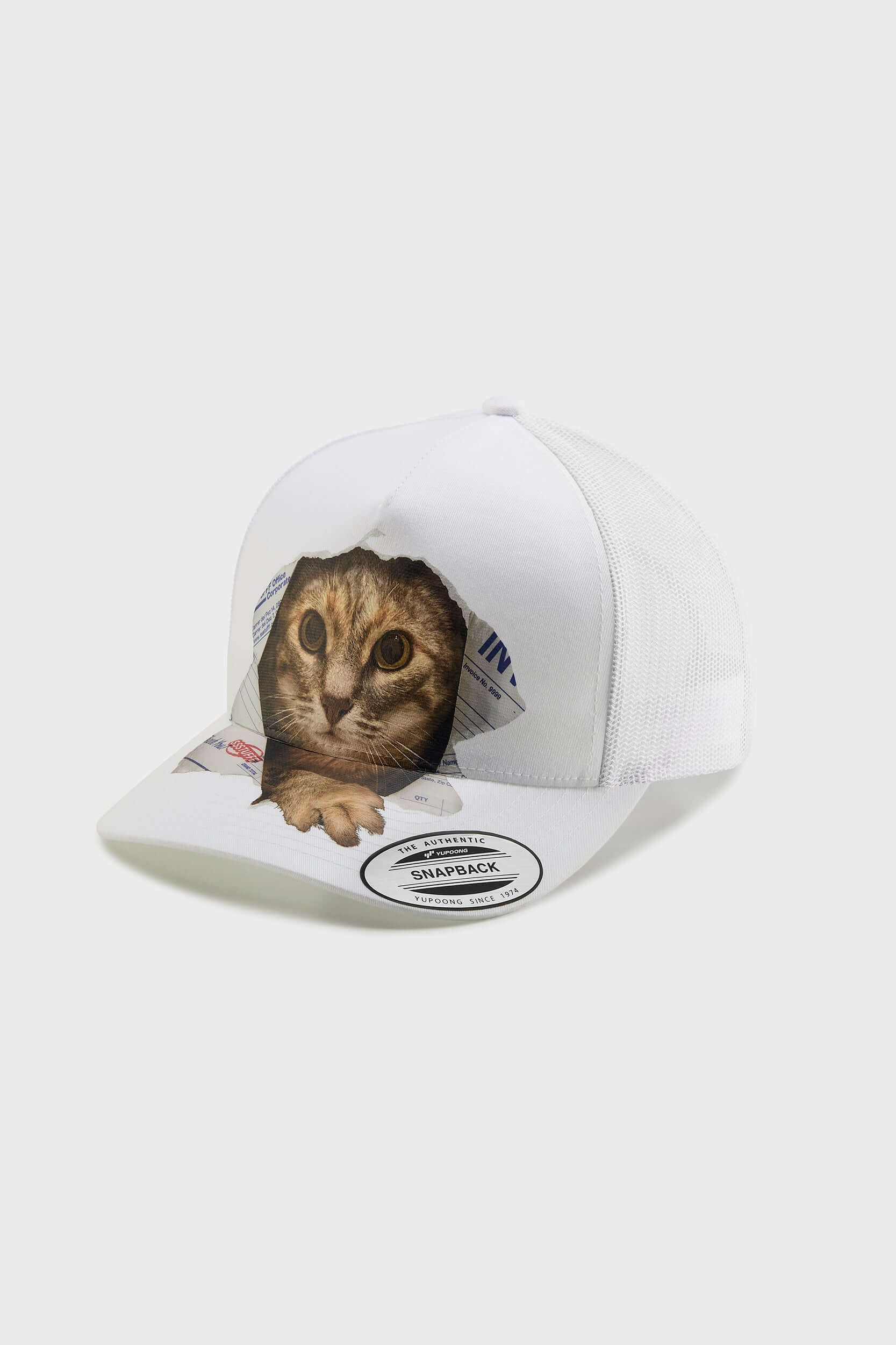 Flexfit Cap Broken Paper Cat