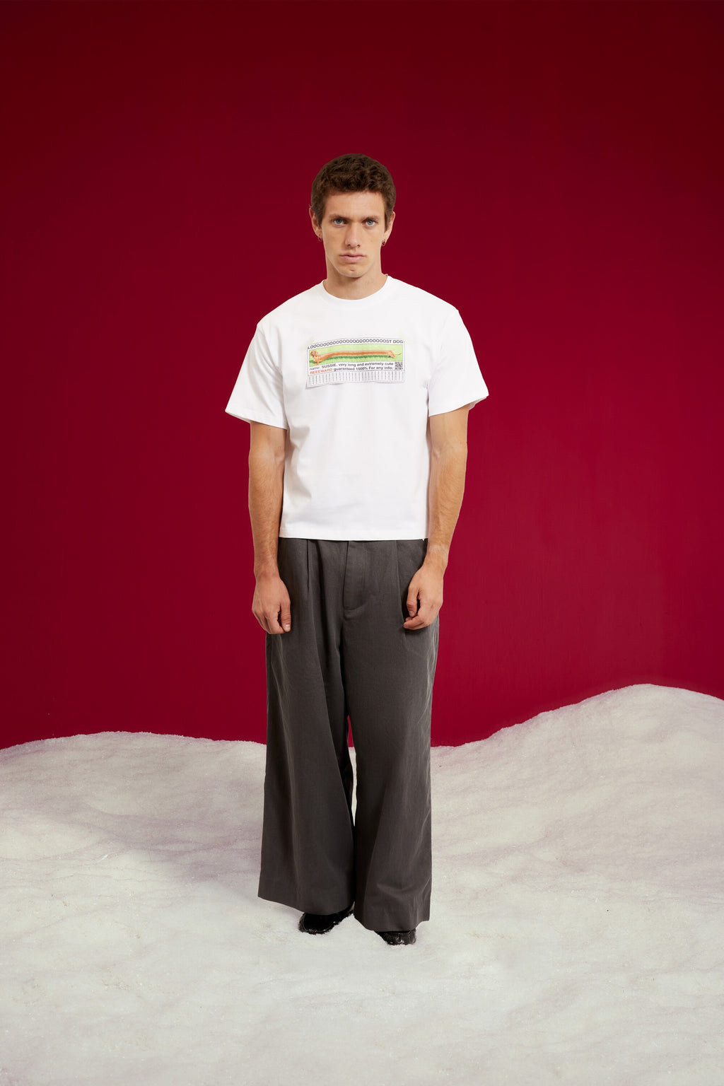 Lost Dog Tee in white, printed with a lost dog poster box logo at the chest. Worn on a model, full-length front view.
